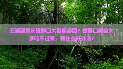 芜湖到重庆磁器口大型旅游团？磁器口美食太多吃不过来，有什么好办法？