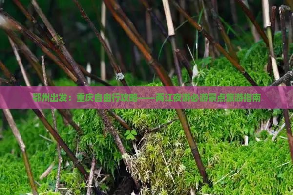 鄂州出发：重庆自由行攻略——两江夜游必游景点旅游指南