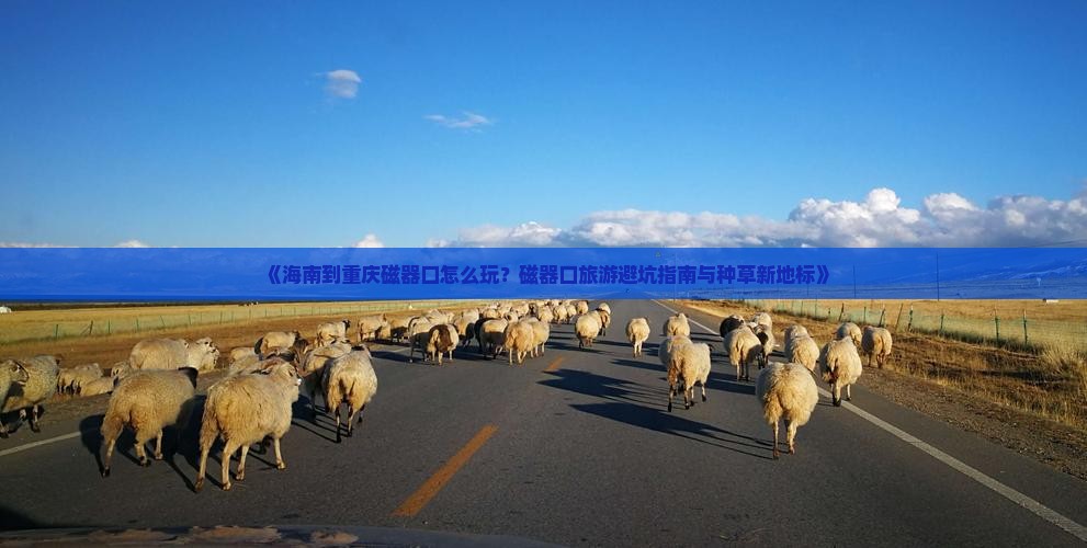《海南到重庆磁器口怎么玩？磁器口旅游避坑指南与种草新地标》