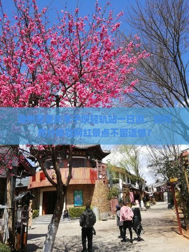 滁州至重庆李子坝轻轨站一日游，如何充分体验网红景点不留遗憾？