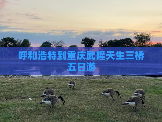 呼和浩特到重庆武隆天生三桥五日游