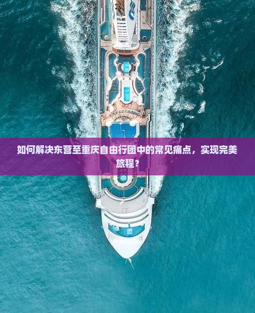 如何解决东营至重庆自由行团中的常见痛点，实现完美旅程？