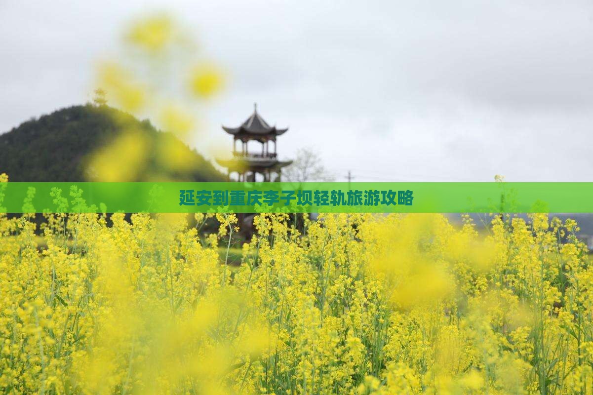 延安到重庆李子坝轻轨旅游攻略