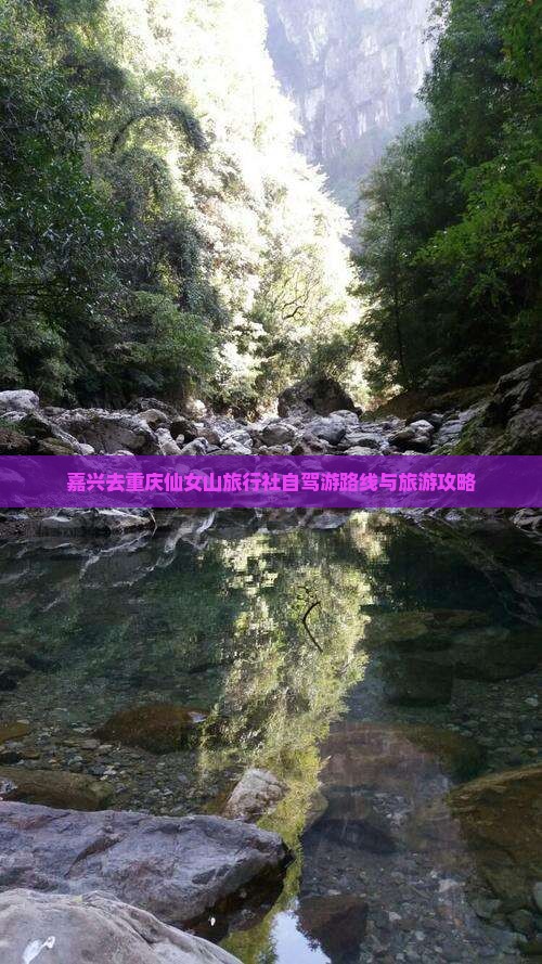 嘉兴去重庆仙女山旅行社自驾游路线与旅游攻略