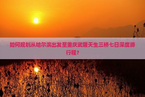 如何规划从哈尔滨出发至重庆武隆天生三桥七日深度游行程？