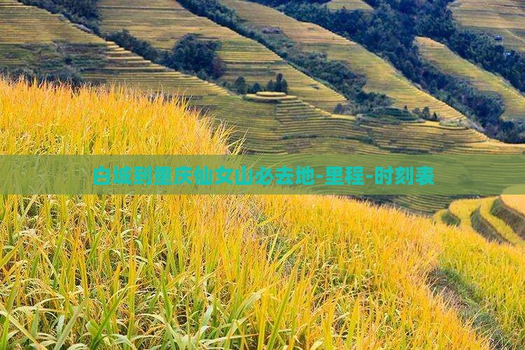 白城到重庆仙女山必去地-里程-时刻表 白城到重庆仙女山必去地-里程-时刻表