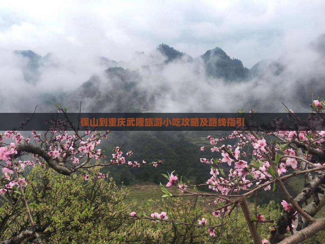 保山到重庆武隆旅游小吃攻略及路线指引 保山到重庆武隆旅游小吃攻略及路线指引