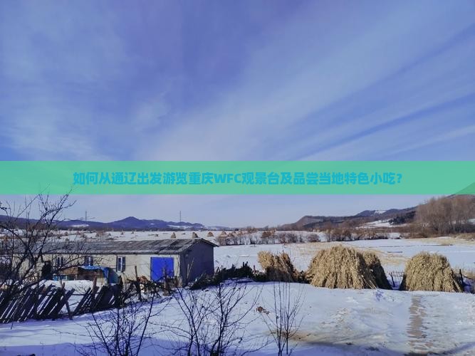 如何从通辽出发游览重庆WFC观景台及品尝当地特色小吃？