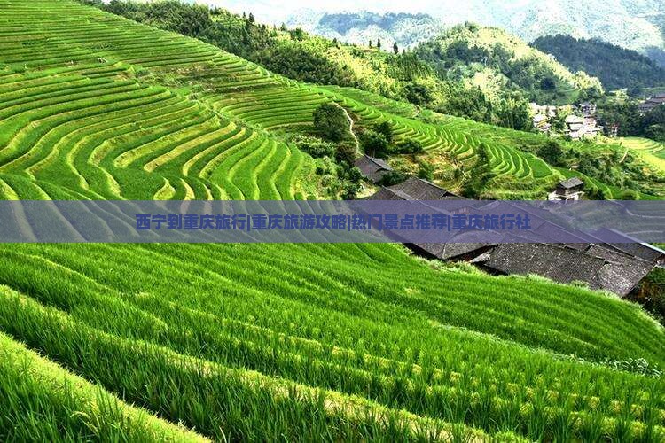 西宁到重庆旅行|重庆旅游攻略|热门景点推荐|重庆旅行社