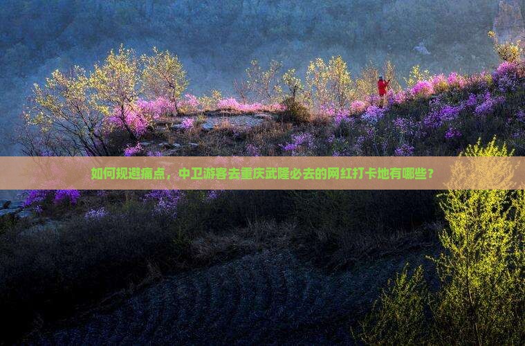 如何规避痛点，中卫游客去重庆武隆必去的网红打卡地有哪些？