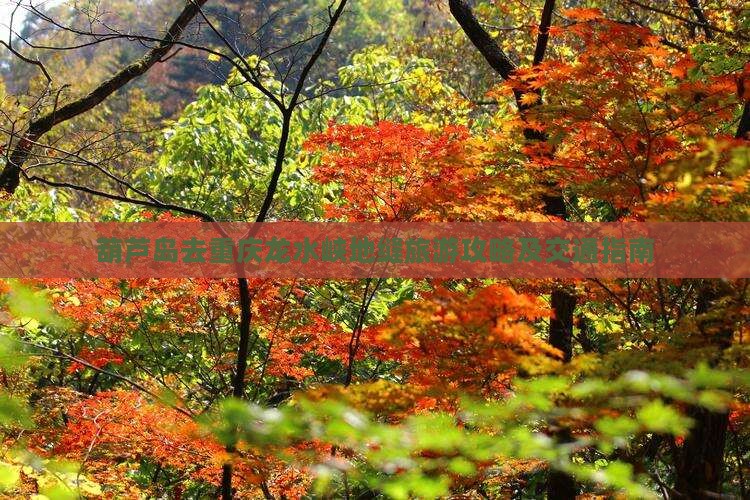 葫芦岛去重庆龙水峡地缝旅游攻略及交通指南