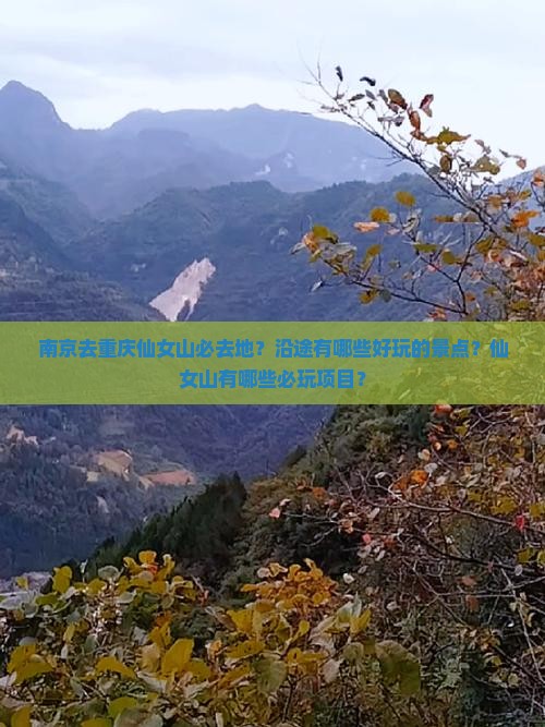 南京去重庆仙女山必去地？沿途有哪些好玩的景点？仙女山有哪些必玩项目？