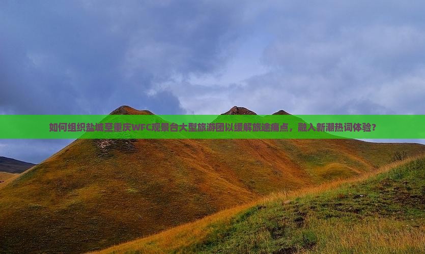 如何组织盐城至重庆WFC观景台大型旅游团以缓解旅途痛点，融入新潮热词体验？