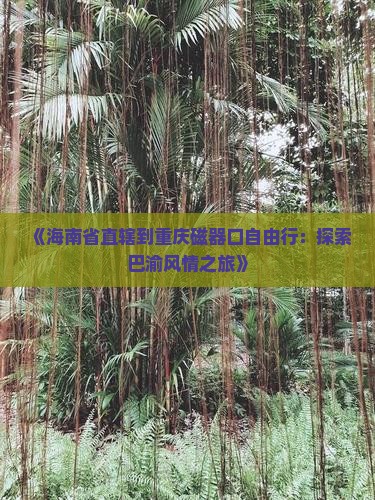 《海南省直辖到重庆磁器口自由行：探索巴渝风情之旅》