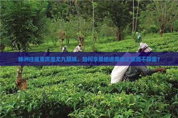 株洲往返重庆蚩尤九黎城，如何享受地道美食之旅而不踩雷？