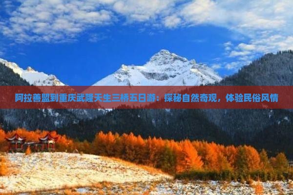 阿拉善盟到重庆武隆天生三桥五日游：探秘自然奇观，体验民俗风情