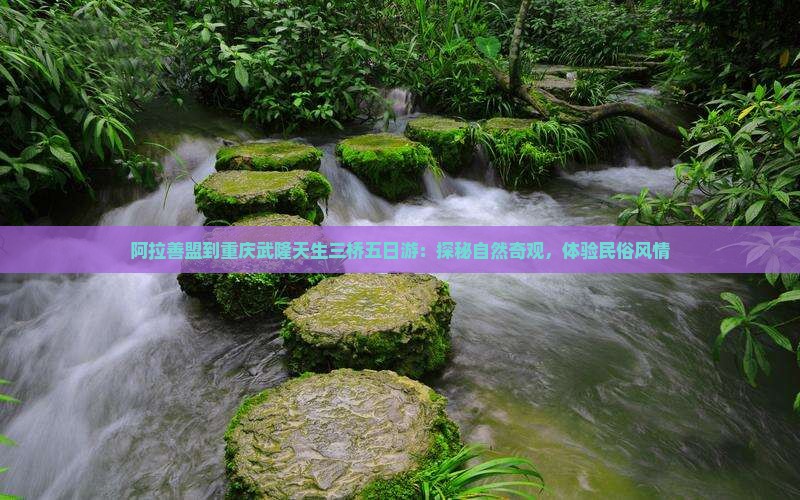 阿拉善盟到重庆武隆天生三桥五日游：探秘自然奇观，体验民俗风情