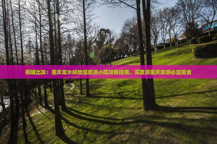 桐城出发：重庆龙水峡地缝旅游小吃攻略指南，深度游重庆旅游必尝美食