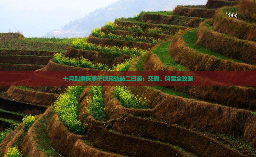 十月到重庆李子坝轻轨站二日游：交通、购票全攻略