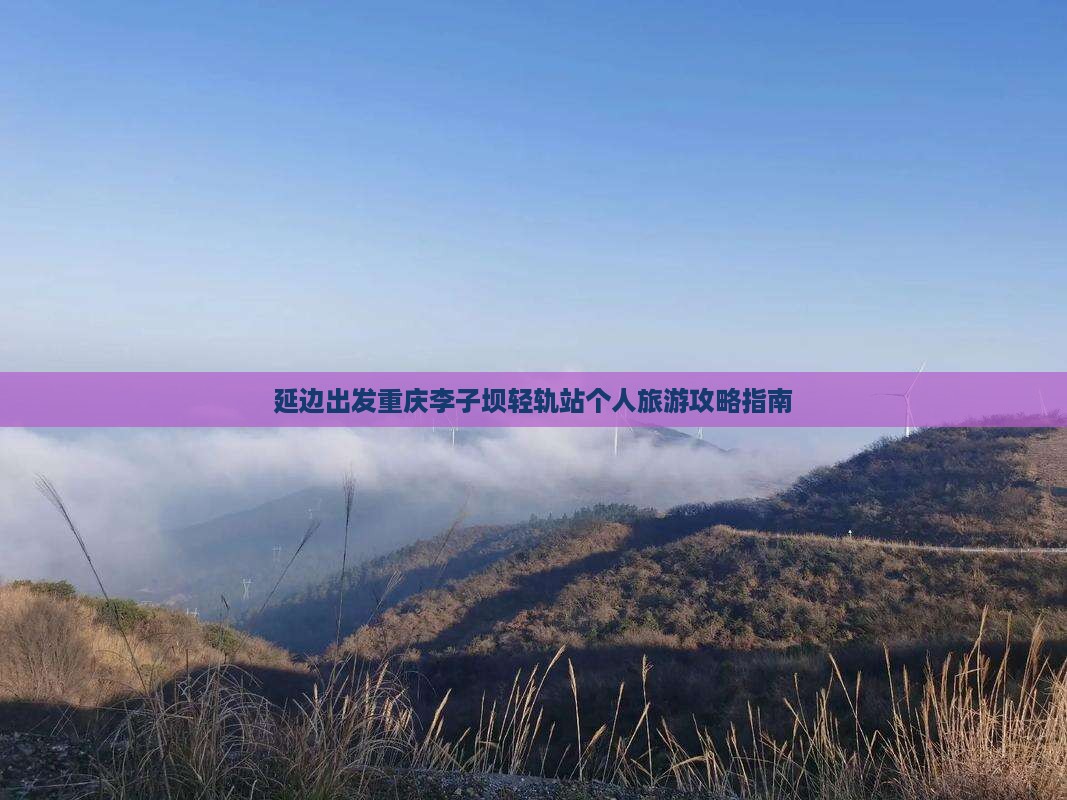 延边出发重庆李子坝轻轨站个人旅游攻略指南
