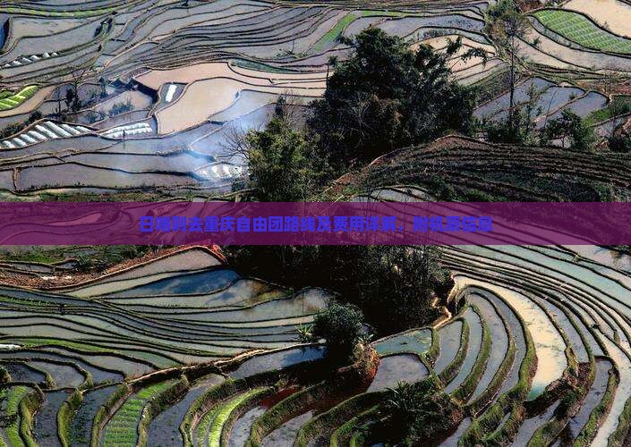 日喀则去重庆自由团路线及费用详解，附机票信息