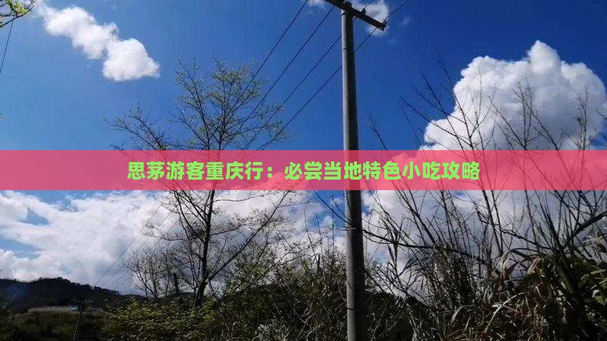 思茅游客重庆行：必尝当地特色小吃攻略