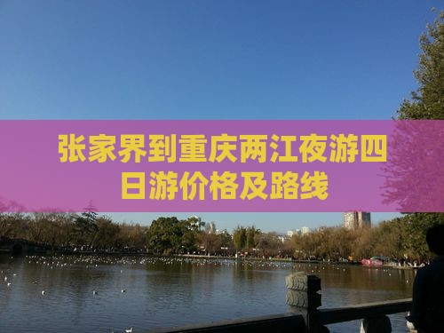 张家界到重庆两江夜游四日游价格及路线
