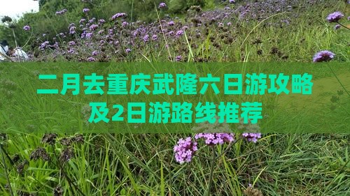 二月去重庆武隆六日游攻略及2日游路线推荐