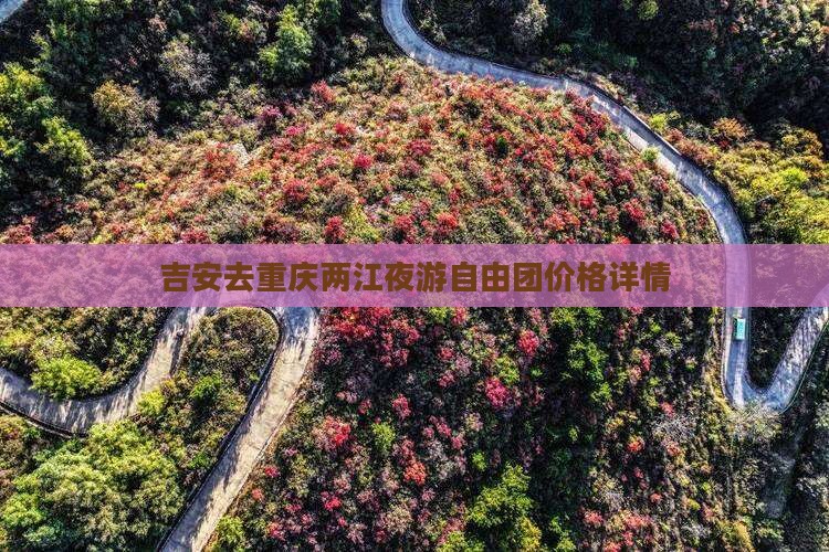 吉安去重庆两江夜游自由团价格详情