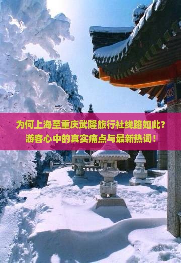为何上海至重庆武隆旅行社线路如此？游客心中的真实痛点与最新热词！