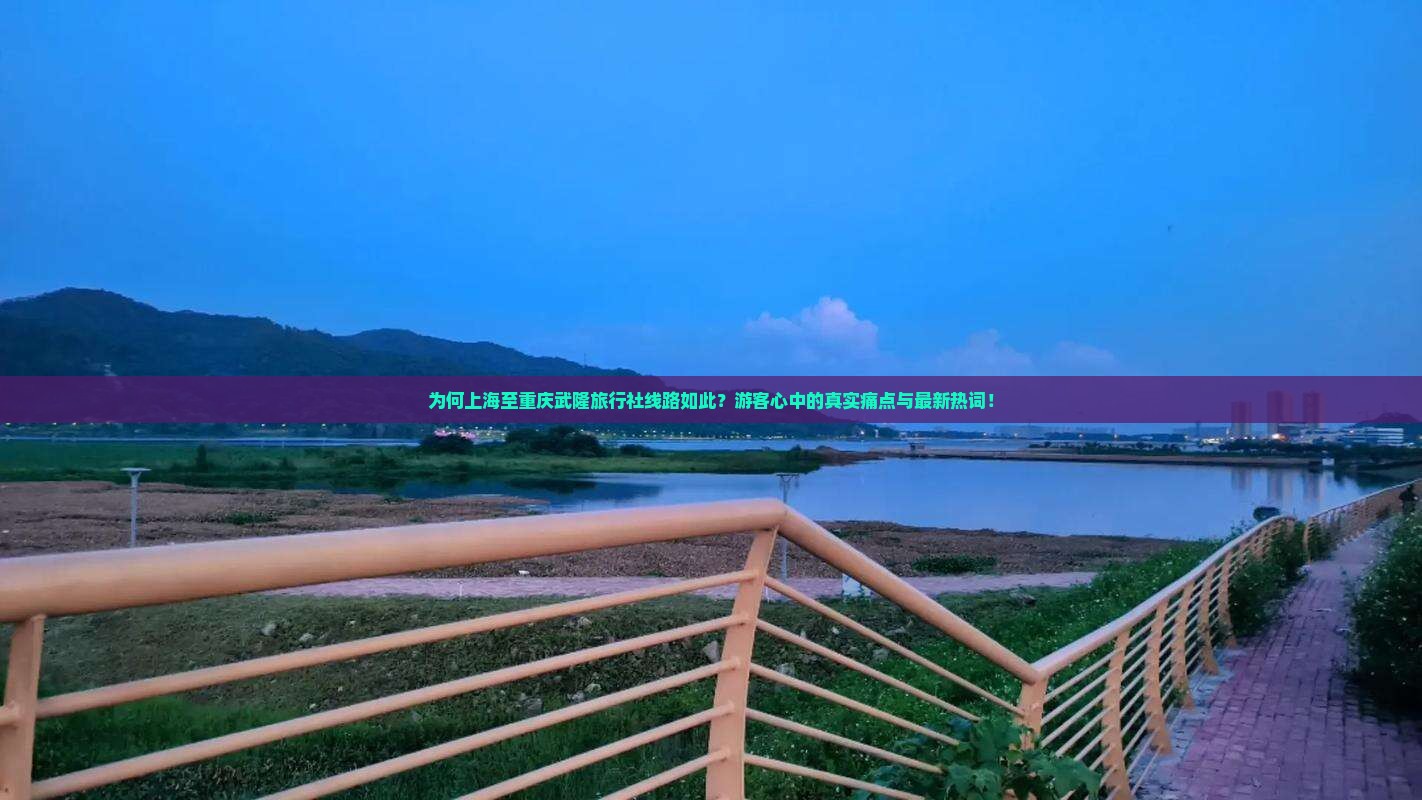 为何上海至重庆武隆旅行社线路如此？游客心中的真实痛点与最新热词！