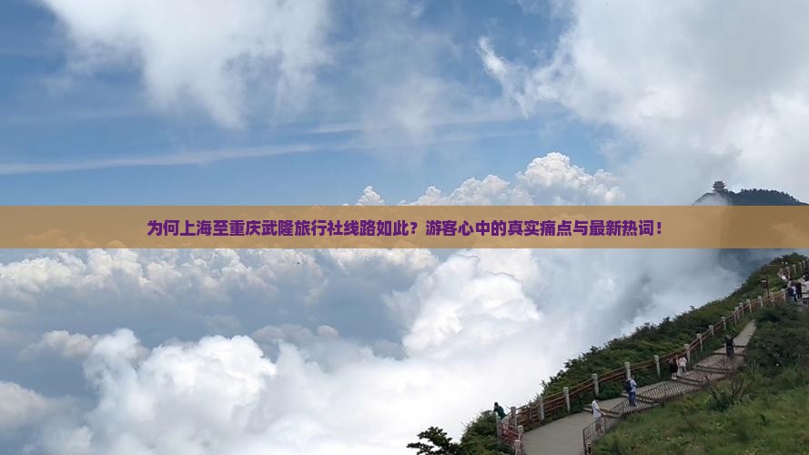为何上海至重庆武隆旅行社线路如此？游客心中的真实痛点与最新热词！