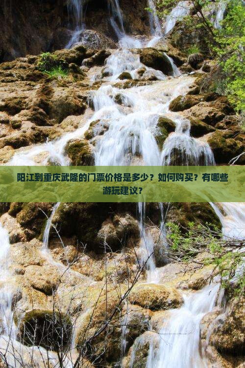 阳江到重庆武隆的门票价格是多少？如何购买？有哪些游玩建议？
