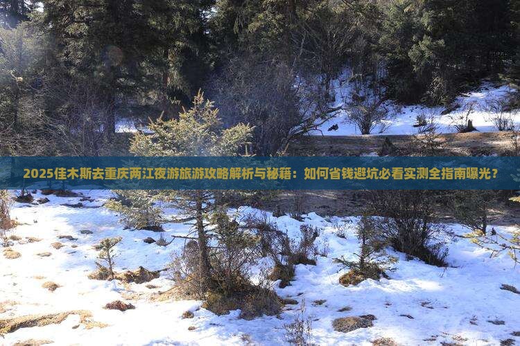 佳木斯去重庆两江夜游旅游