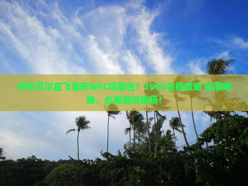 呼伦贝尔去重庆wfc观景台攻略
