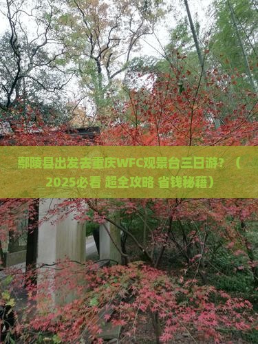 鄢陵县到重庆wfc观景台三日游