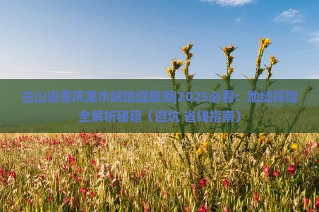 白山去重庆龙水峡地缝旅游