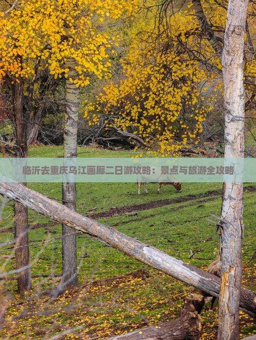临沂去重庆乌江画廊二日游