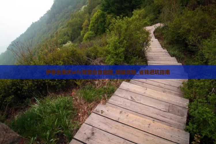 伊春去重庆wfc观景台自由团