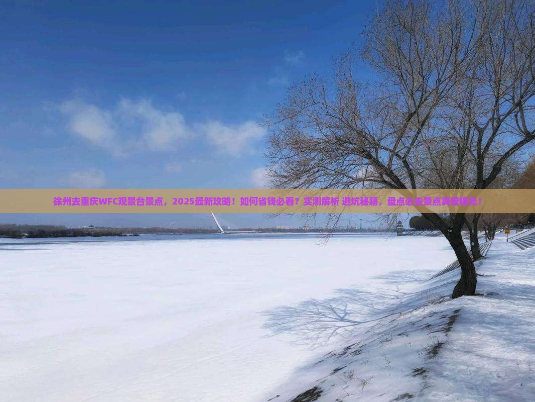 徐州去重庆wfc观景台景点