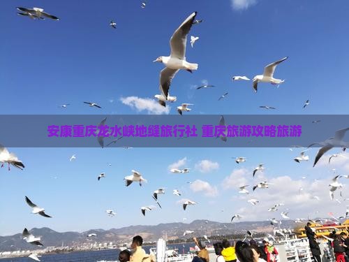 安康去重庆龙水峡地缝旅行社