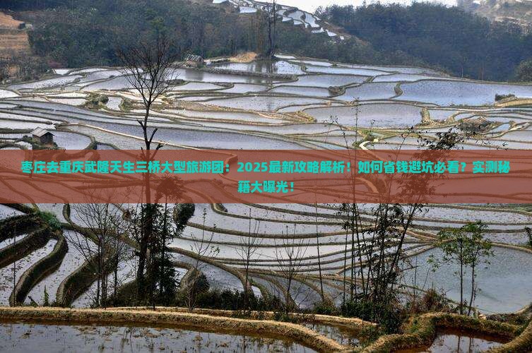 枣庄去重庆武隆天生三桥大型旅游团