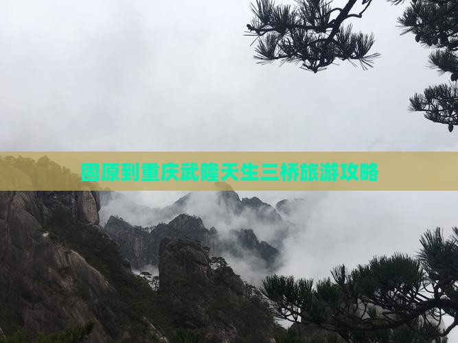 固原去重庆武隆天生三桥团体旅游