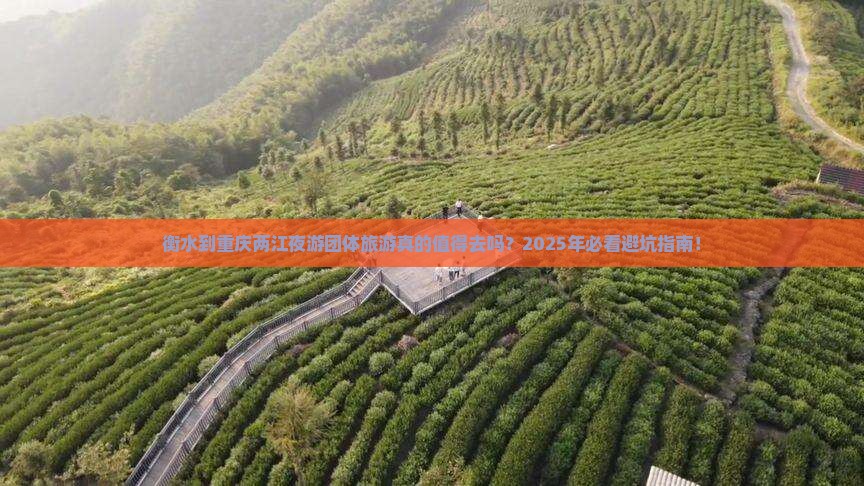 衡水到重庆两江夜游团体旅游