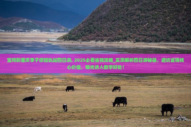 宝鸡到重庆李子坝轻轨站四日游