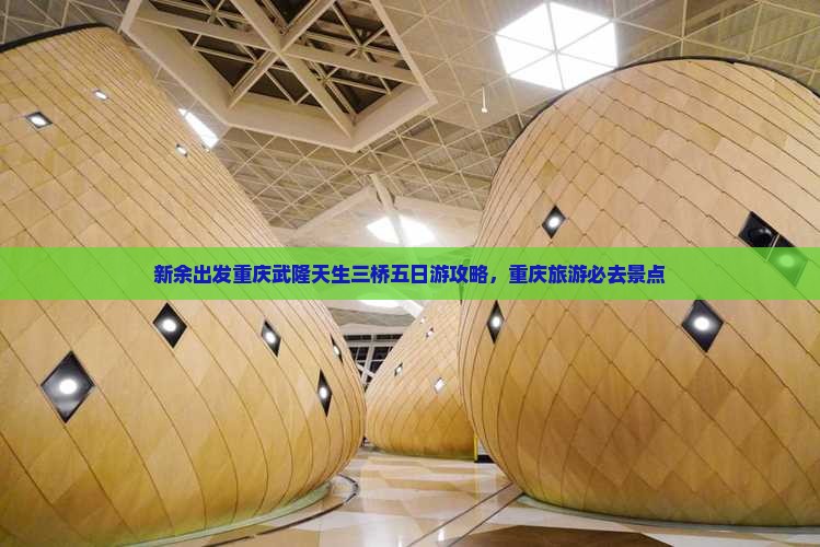 新余去重庆武隆天生三桥五日游