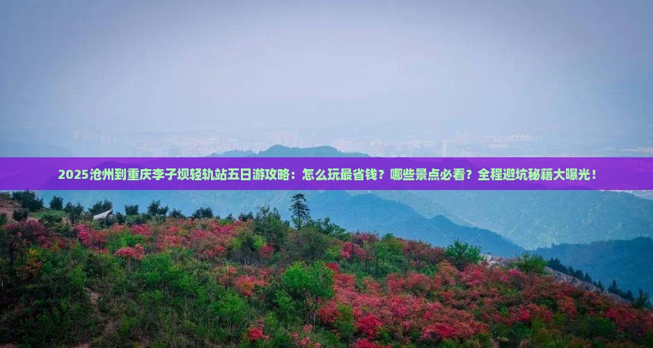 沧州到重庆李子坝轻轨站五日游
