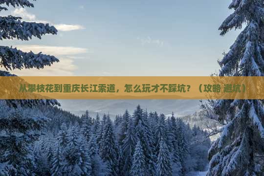 攀枝花到重庆长江索道哪里玩