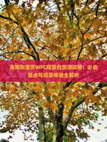 海南到重庆wfc观景台景点