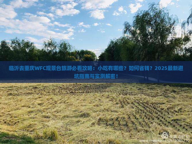 临沂去重庆wfc观景台旅游小吃